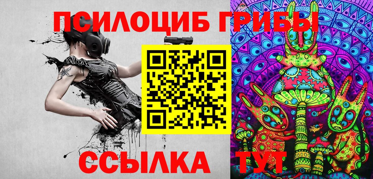 Псилоцибиновые грибы Psilocybine cubensis Белово